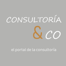 Portal Consultoria &Co